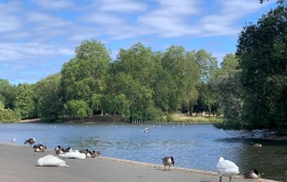 Stay Longer Save More