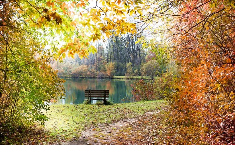 Golden Leaves & Luxury Streets: Visiting Mayfair in October